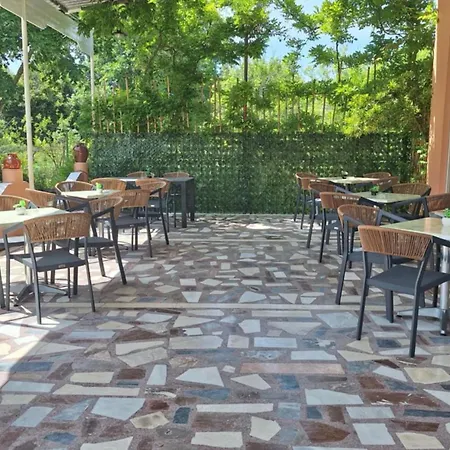 Πανσιόν ο κόκκινος δράκος *