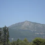 The Red Dragon Exclusive Dassia (Corfu)